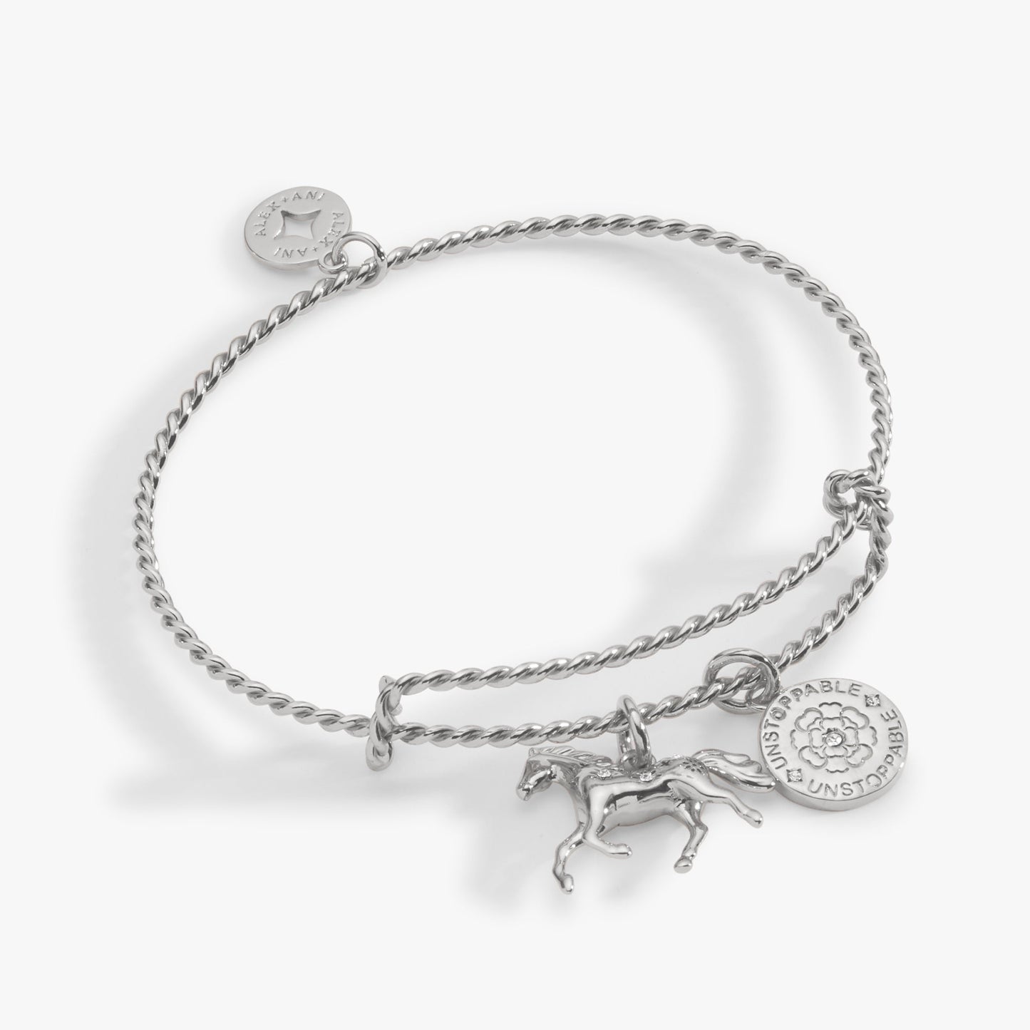 Horse Rope Textured Charm Bangle ALEX AND ANI
