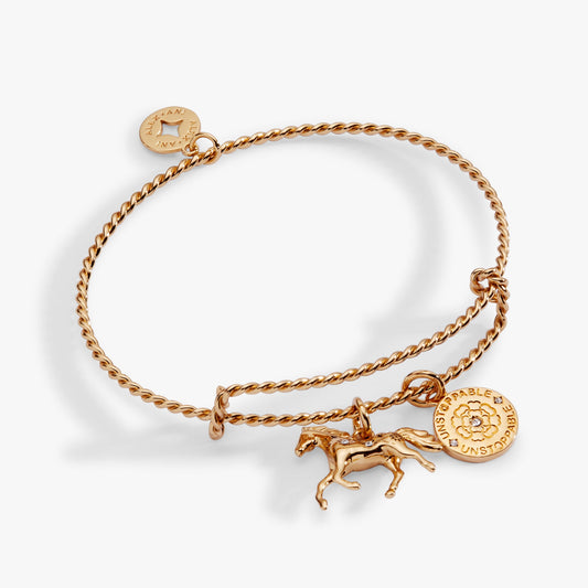 Horse Rope Textured Charm Bangle ALEX AND ANI