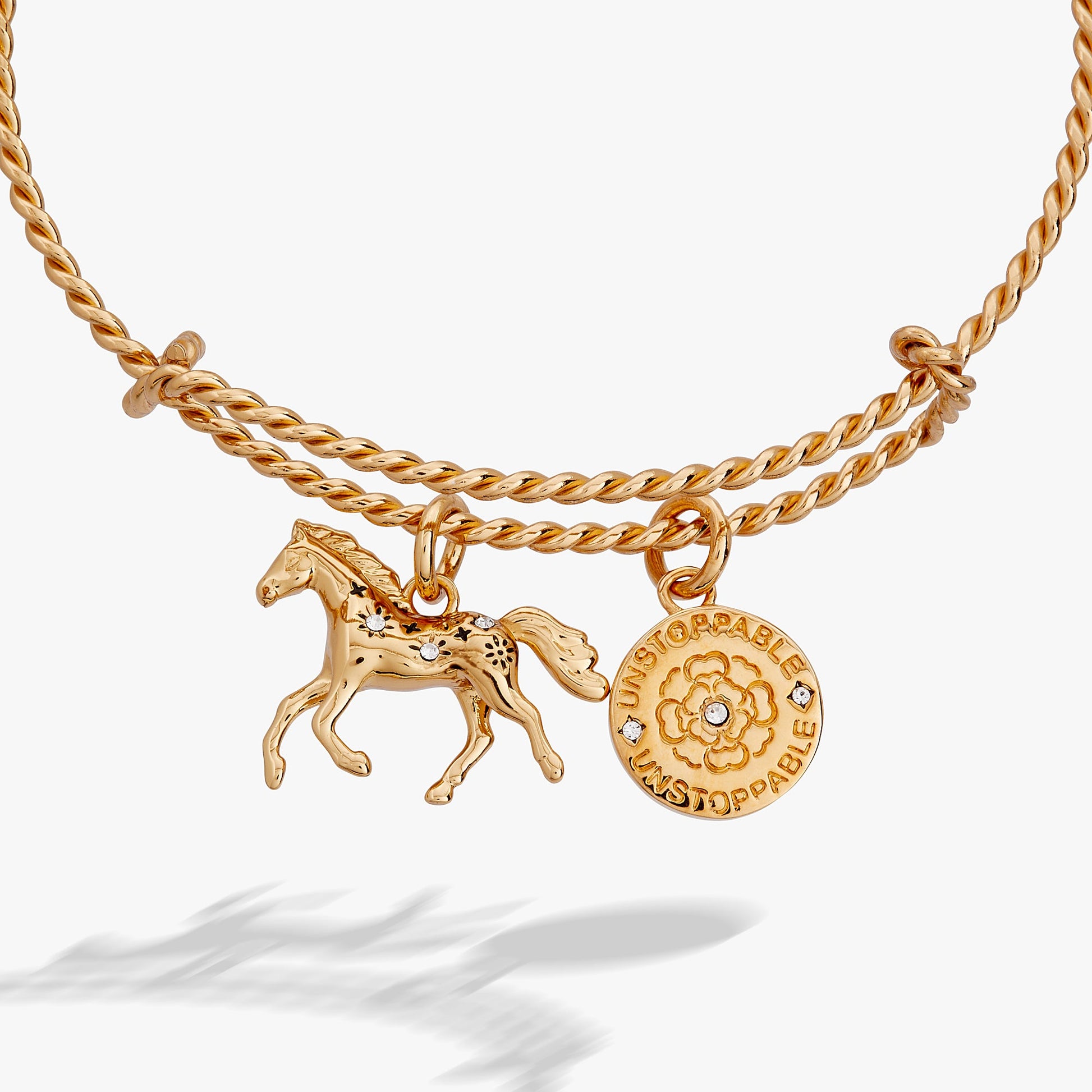 Horse Rope Textured Charm Bangle ALEX AND ANI