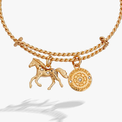Horse Rope Textured Charm Bangle ALEX AND ANI