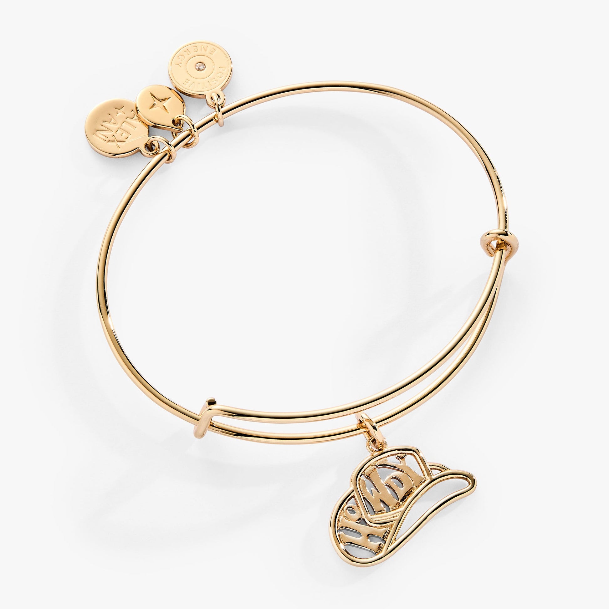 Howdy Charm Bangle ALEX AND ANI