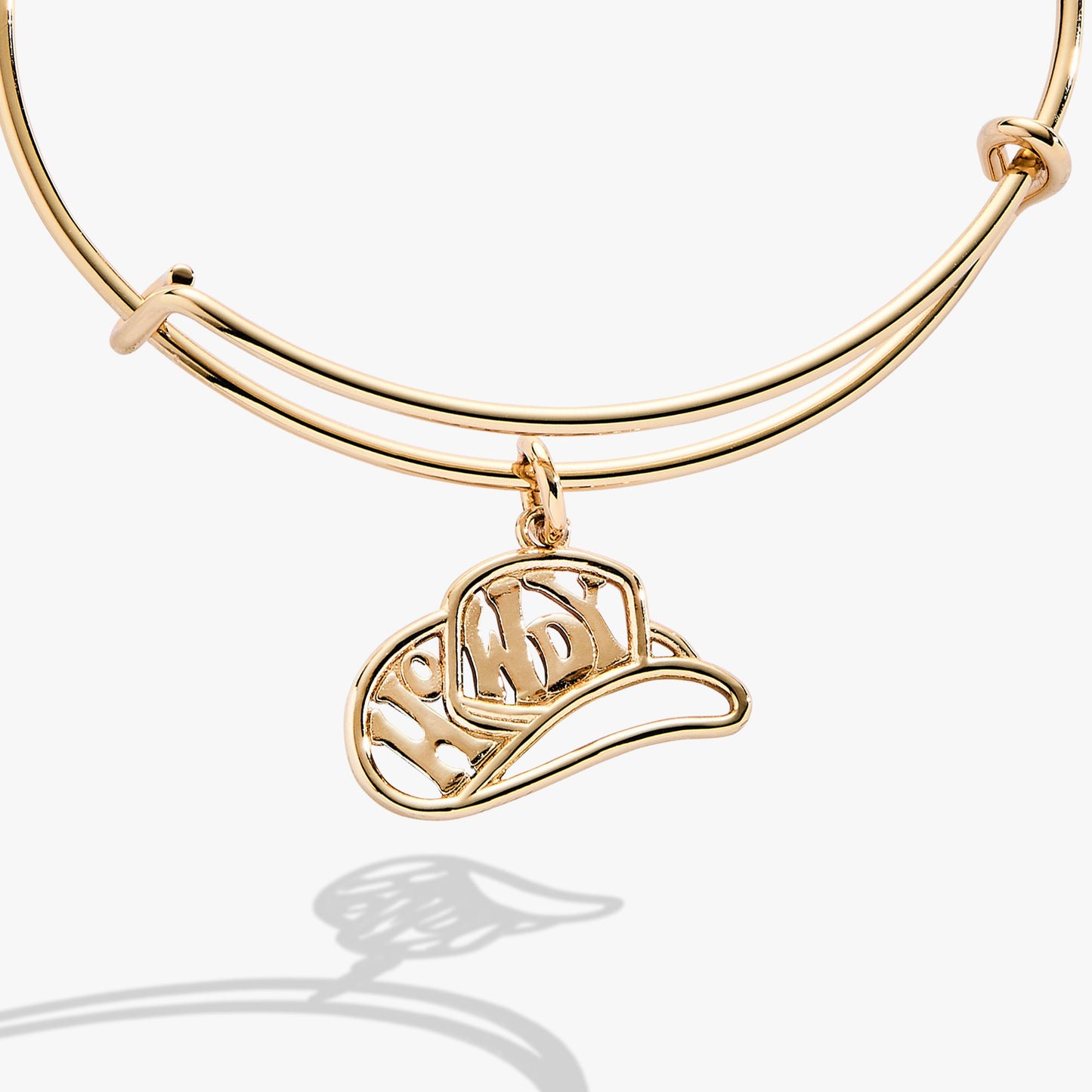 Howdy Charm Bangle ALEX AND ANI