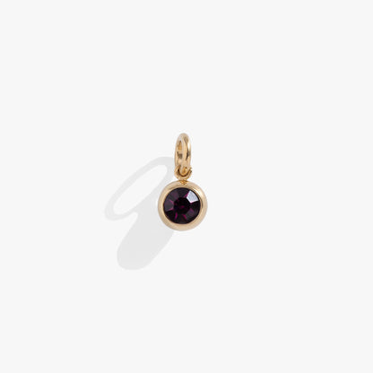February Birthstone Interchangeable Charm ALEX AND ANI