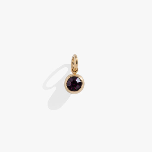 February Birthstone Interchangeable Charm ALEX AND ANI
