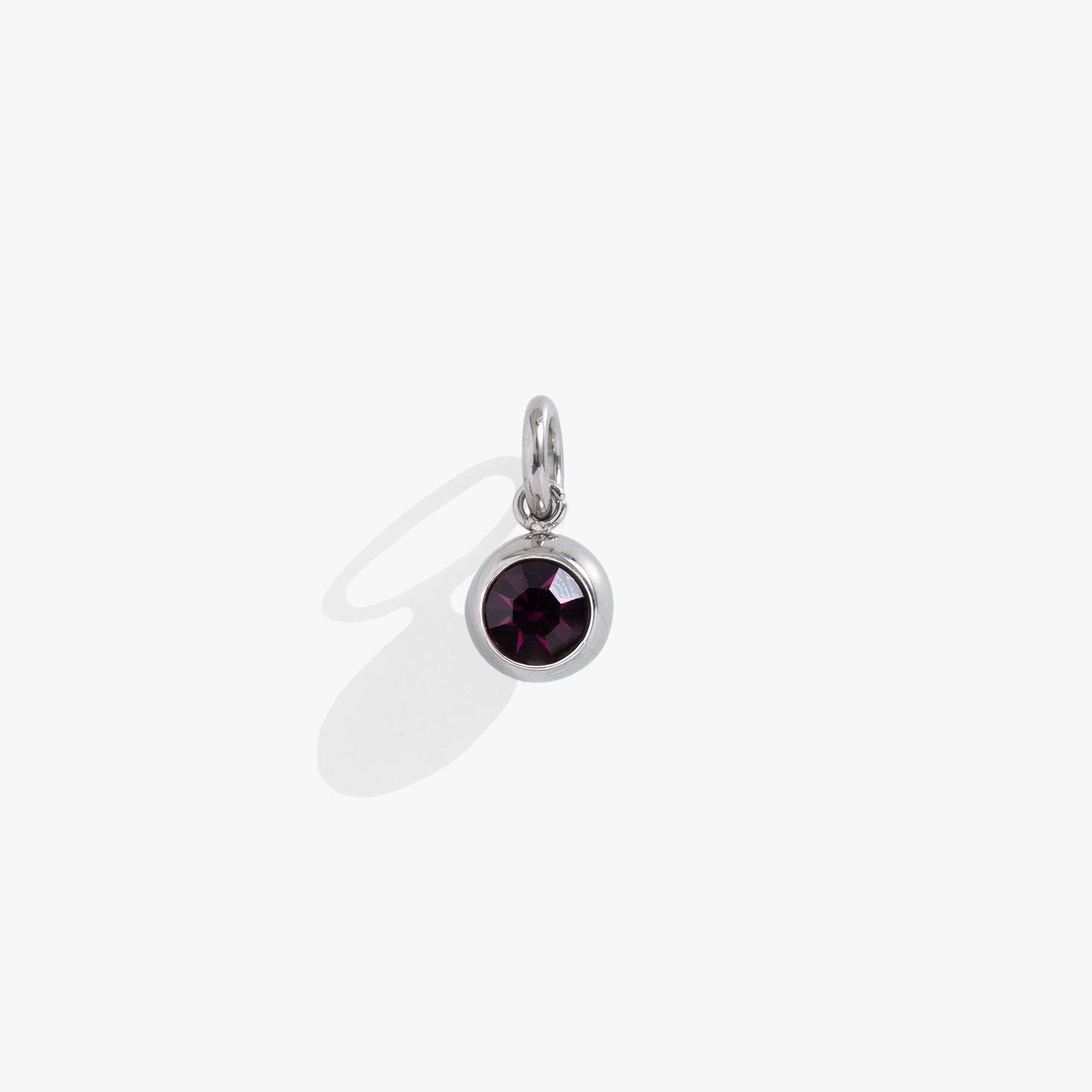 February Birthstone Interchangeable Charm ALEX AND ANI