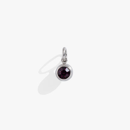 February Birthstone Interchangeable Charm ALEX AND ANI