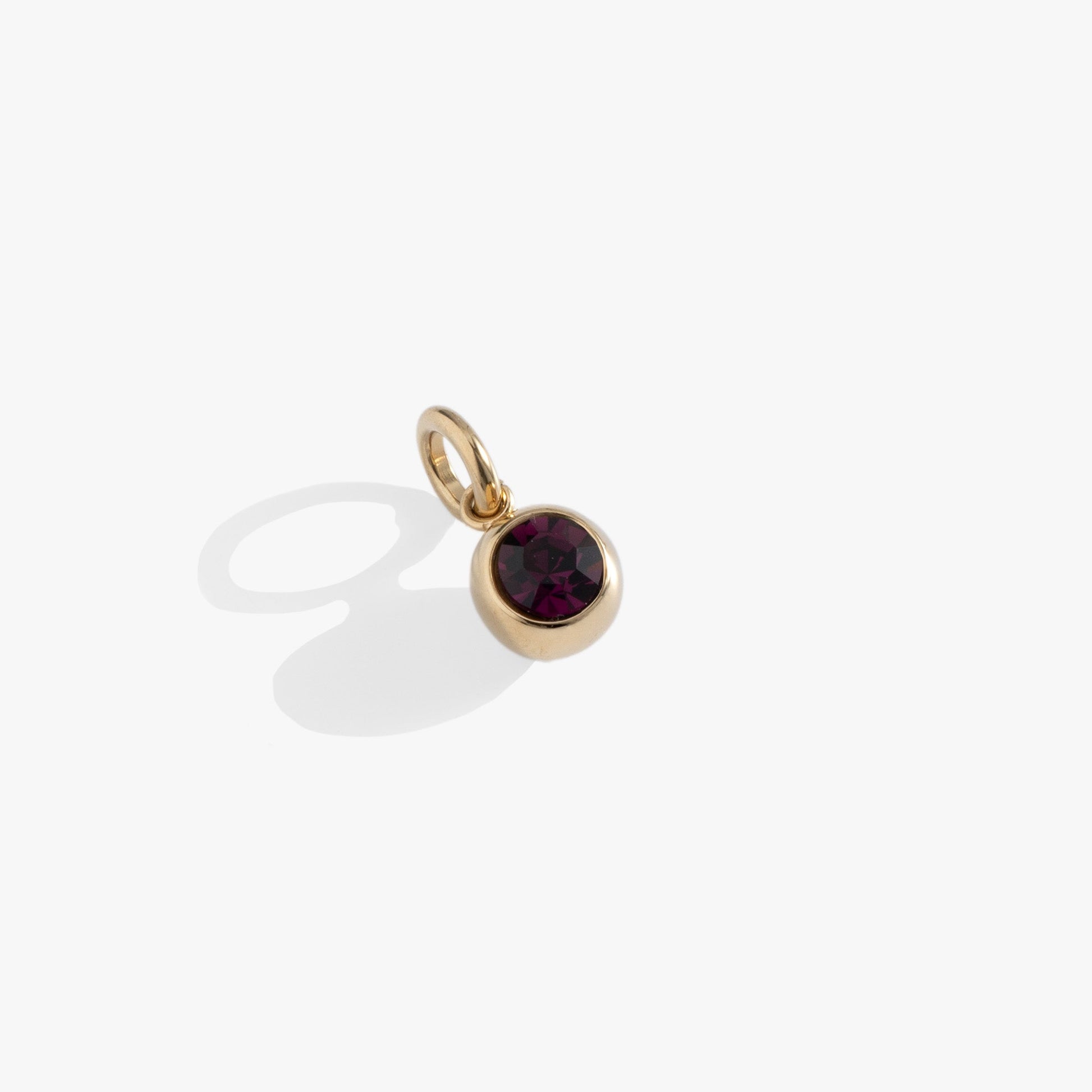 February Birthstone Interchangeable Charm ALEX AND ANI