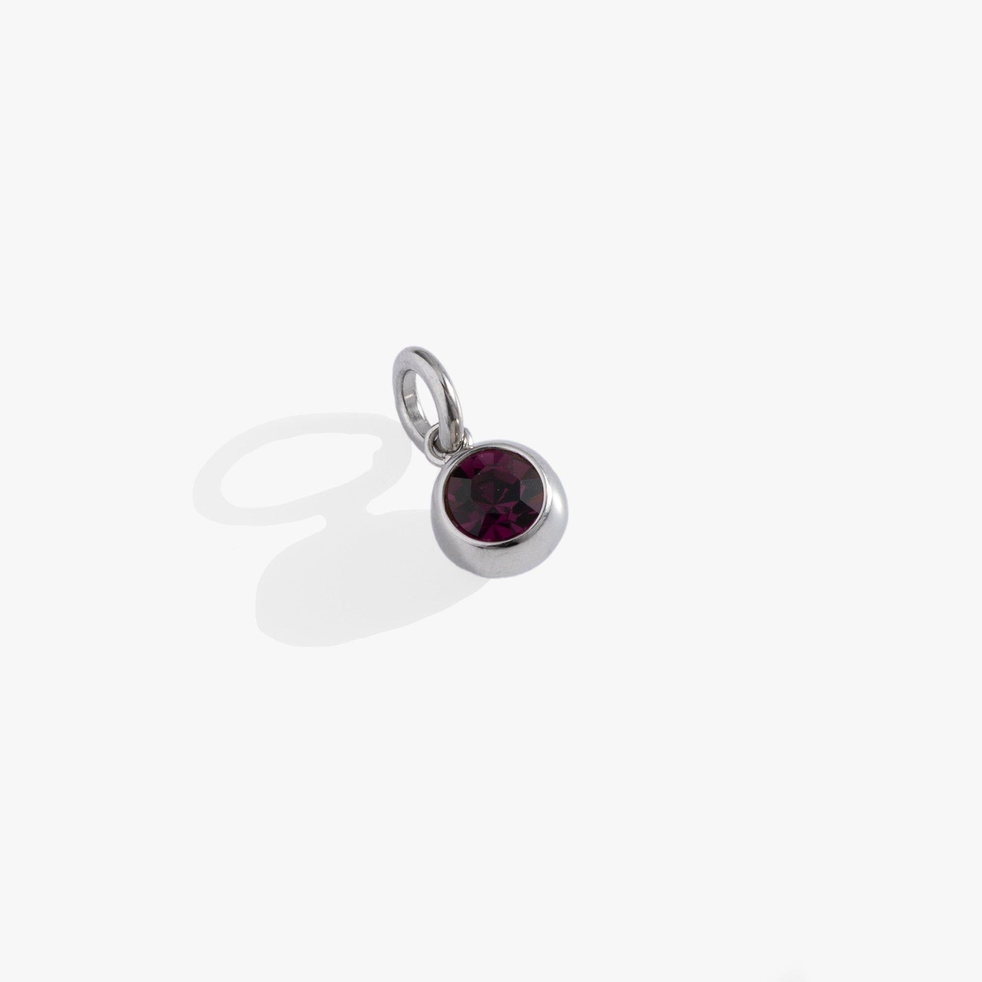 February Birthstone Interchangeable Charm ALEX AND ANI