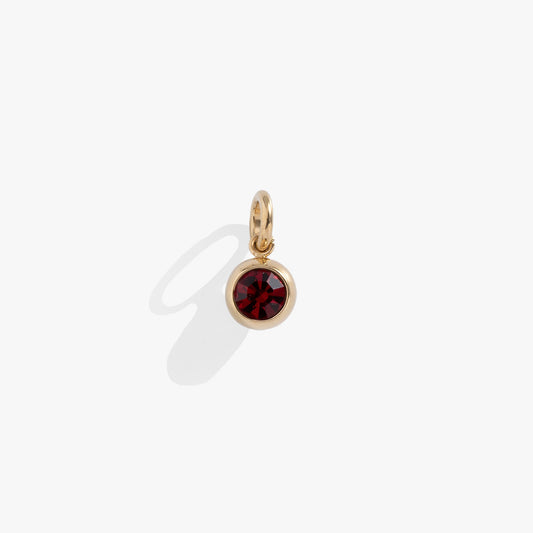 January Birthstone Interchangeable Charm ALEX AND ANI
