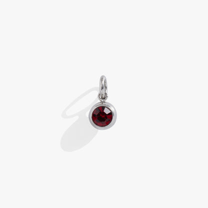 January Birthstone Interchangeable Charm ALEX AND ANI