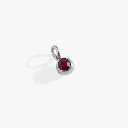 January Birthstone Interchangeable Charm ALEX AND ANI