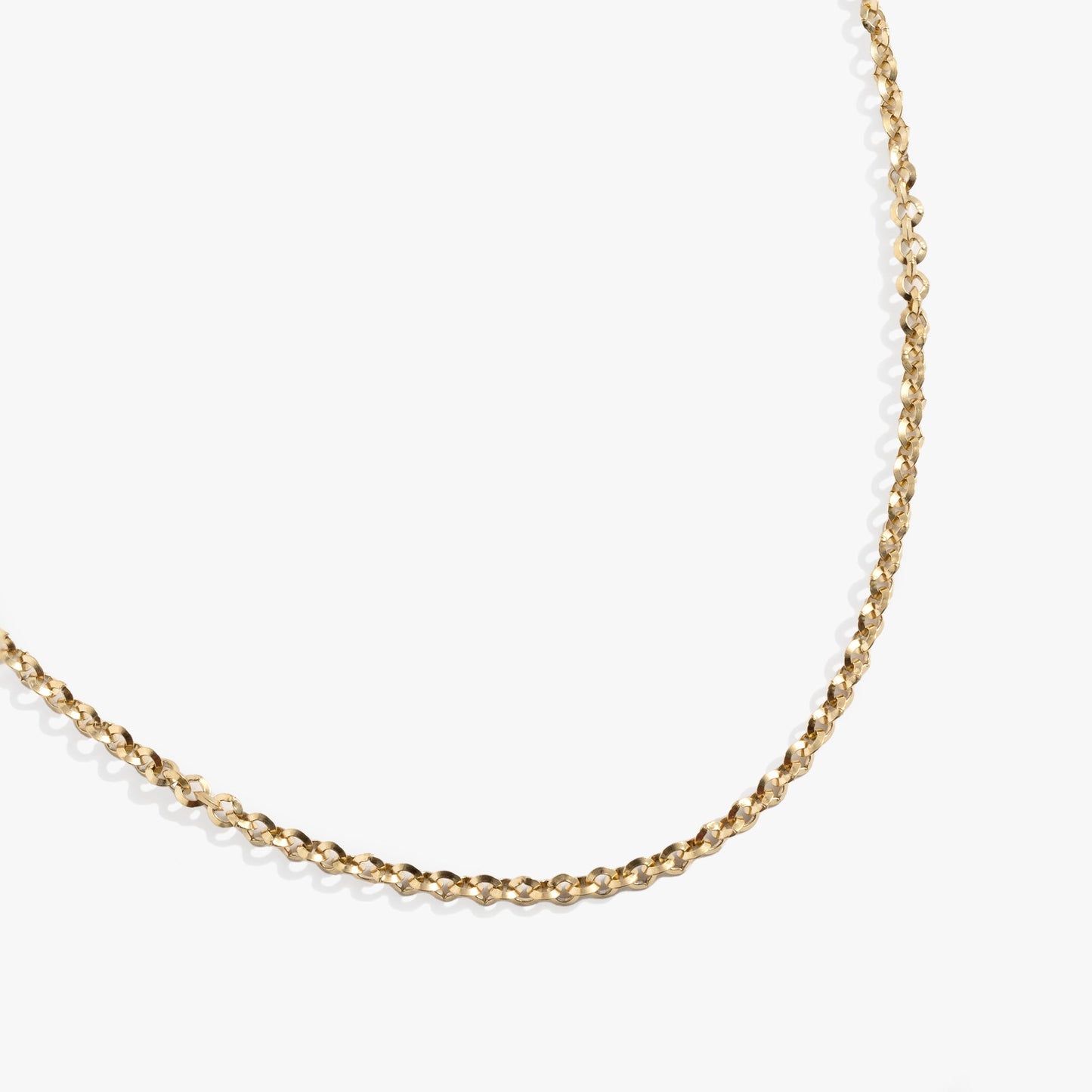 Faceted Rolo Charm & Layering Necklace ALEX AND ANI