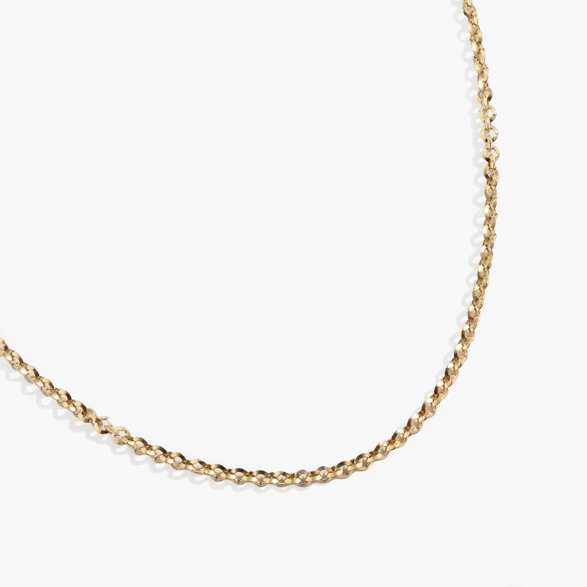 Faceted Rolo Charm & Layering Necklace ALEX AND ANI