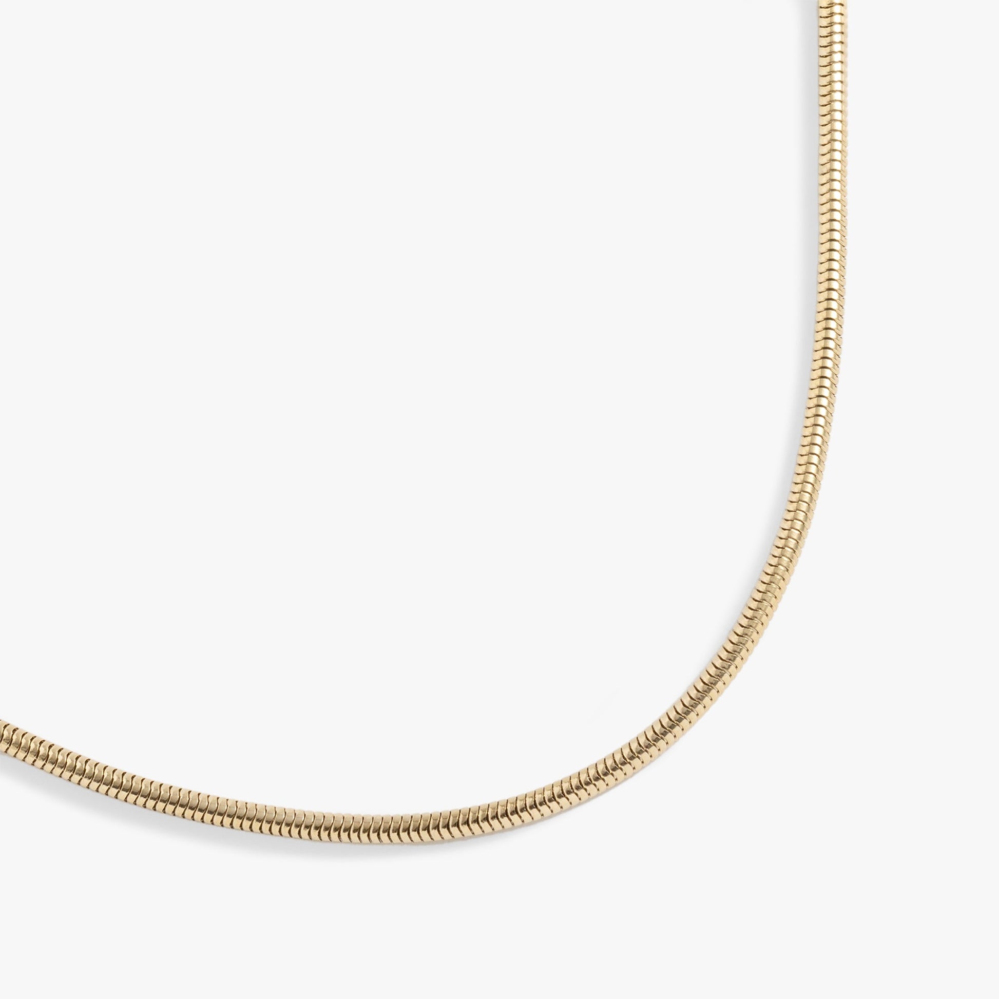 Round Herringbone Charm & Layering Necklace ALEX AND ANI