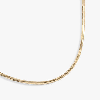 Round Herringbone Charm & Layering Necklace ALEX AND ANI
