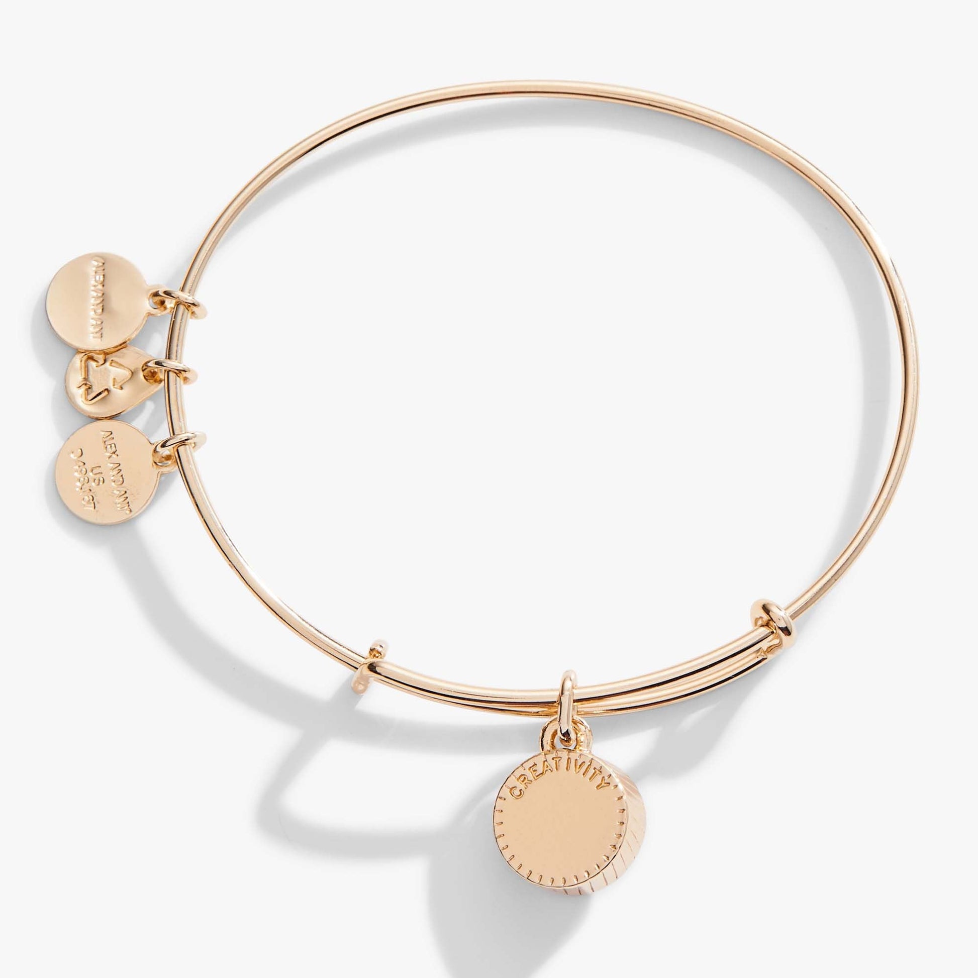 January Birthstone Charm Bangle, Scarlet ALEX AND ANI