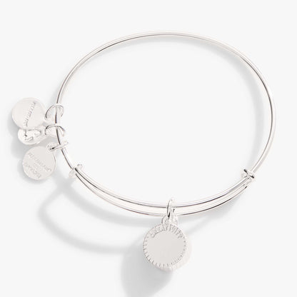 January Birthstone Charm Bangle, Scarlet ALEX AND ANI