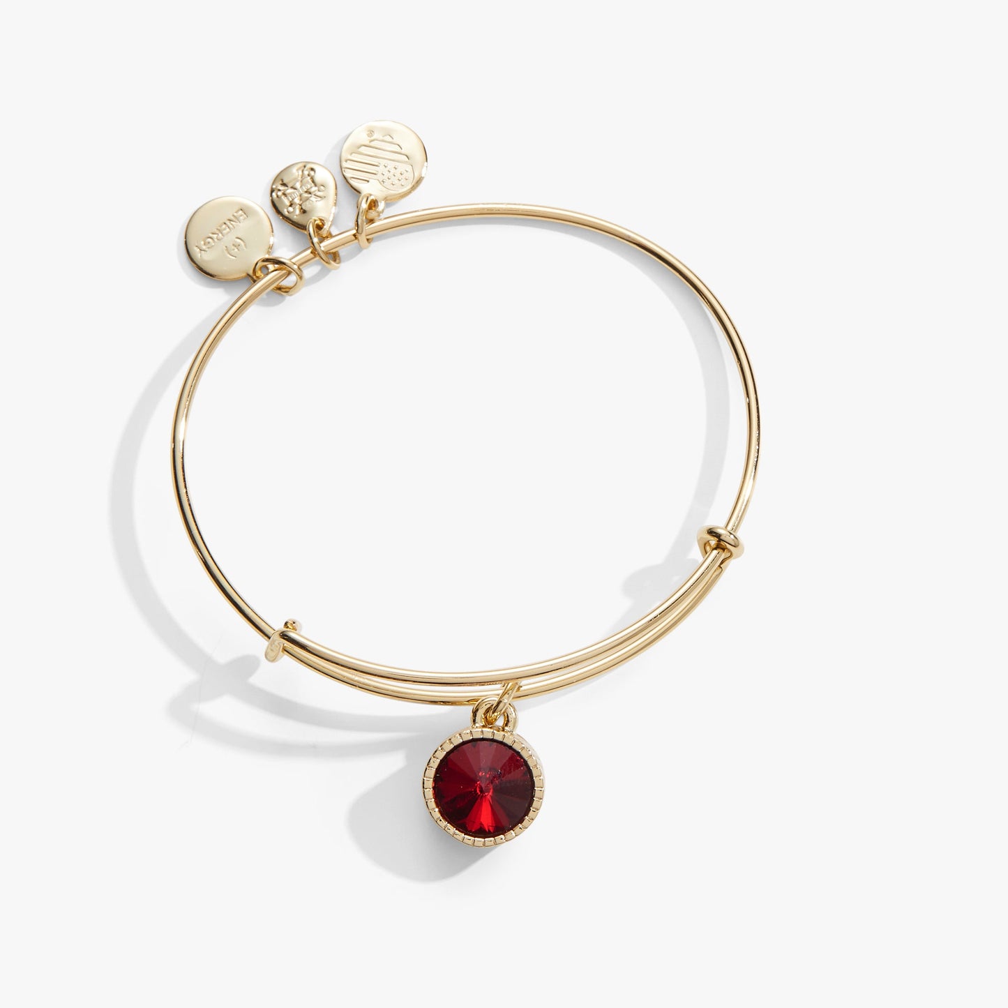 January Birthstone Charm Bangle, Scarlet ALEX AND ANI