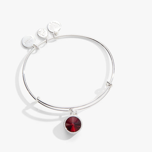 January Birthstone Charm Bangle, Scarlet ALEX AND ANI