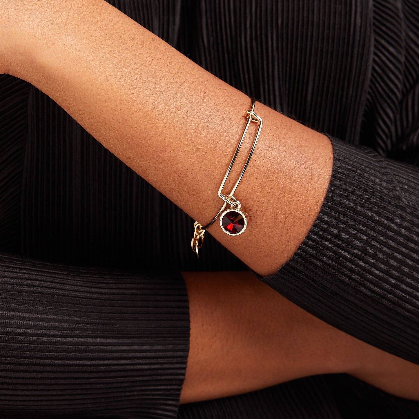 January Birthstone Charm Bangle, Scarlet ALEX AND ANI