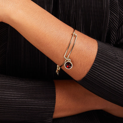 January Birthstone Charm Bangle, Scarlet ALEX AND ANI