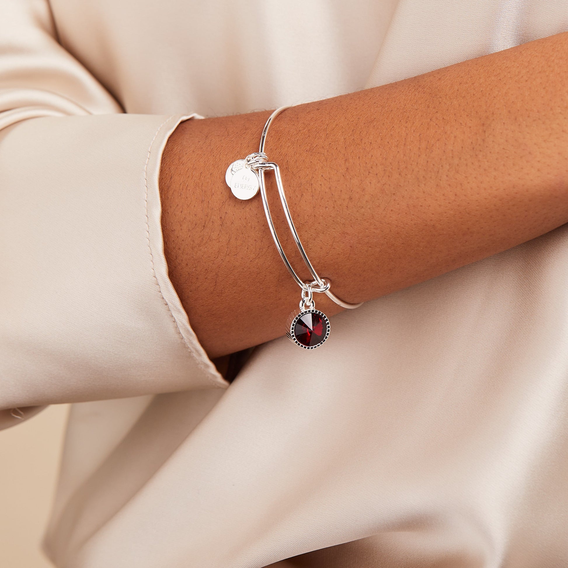 January Birthstone Charm Bangle, Scarlet ALEX AND ANI