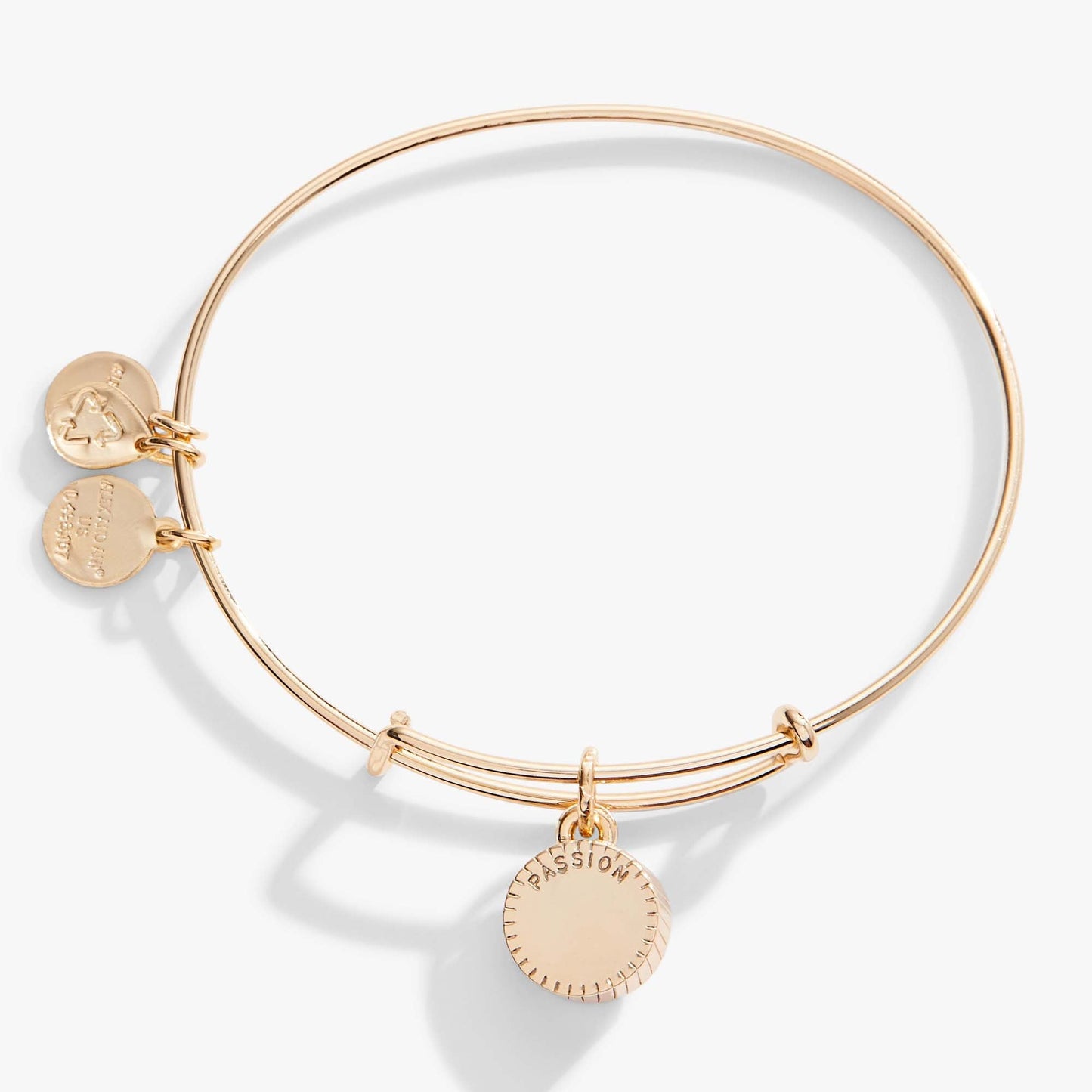 July Birthstone Charm Bangle, Ruby ALEX AND ANI