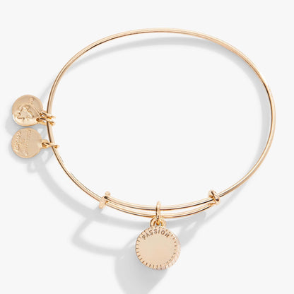 July Birthstone Charm Bangle, Ruby ALEX AND ANI