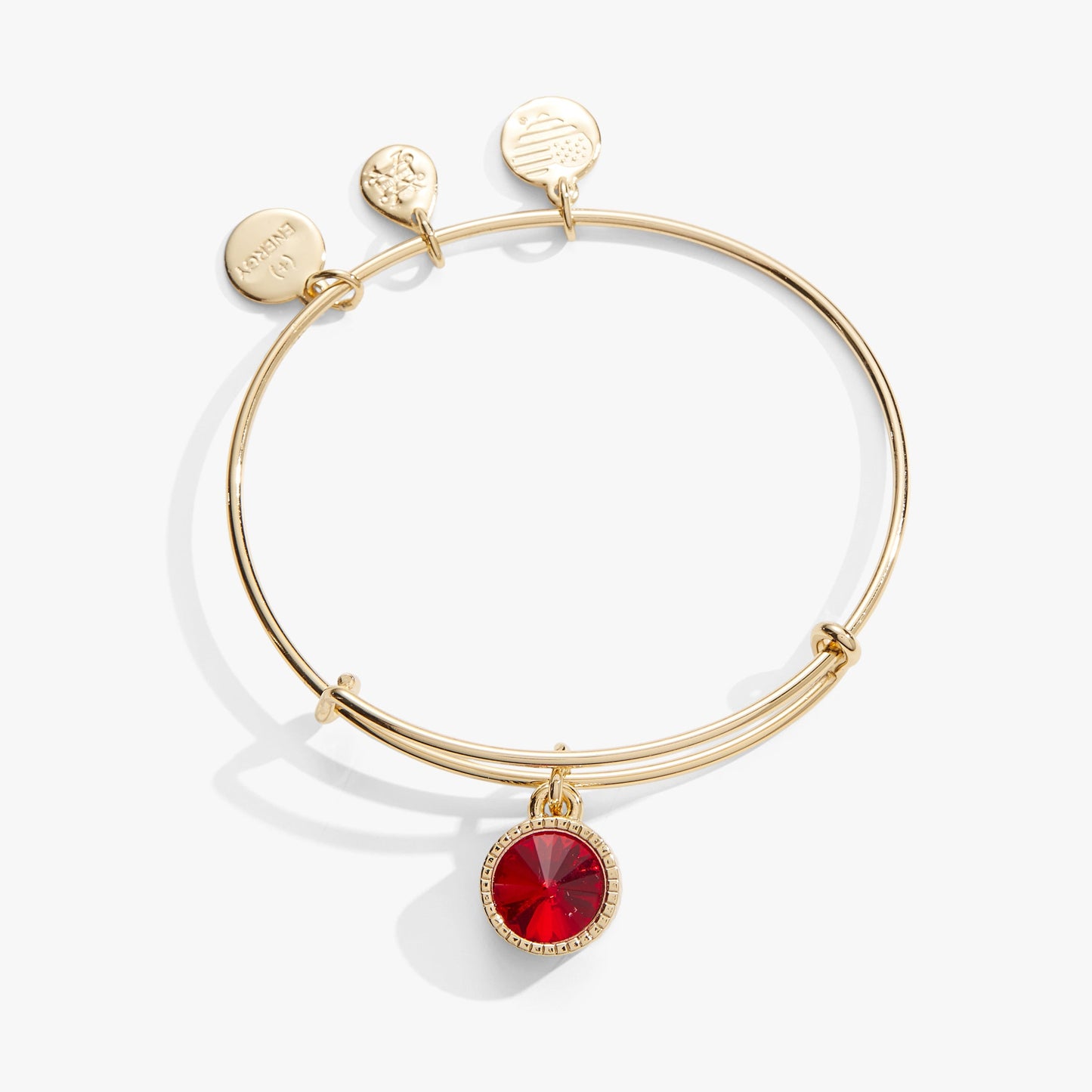 July Birthstone Charm Bangle, Ruby ALEX AND ANI