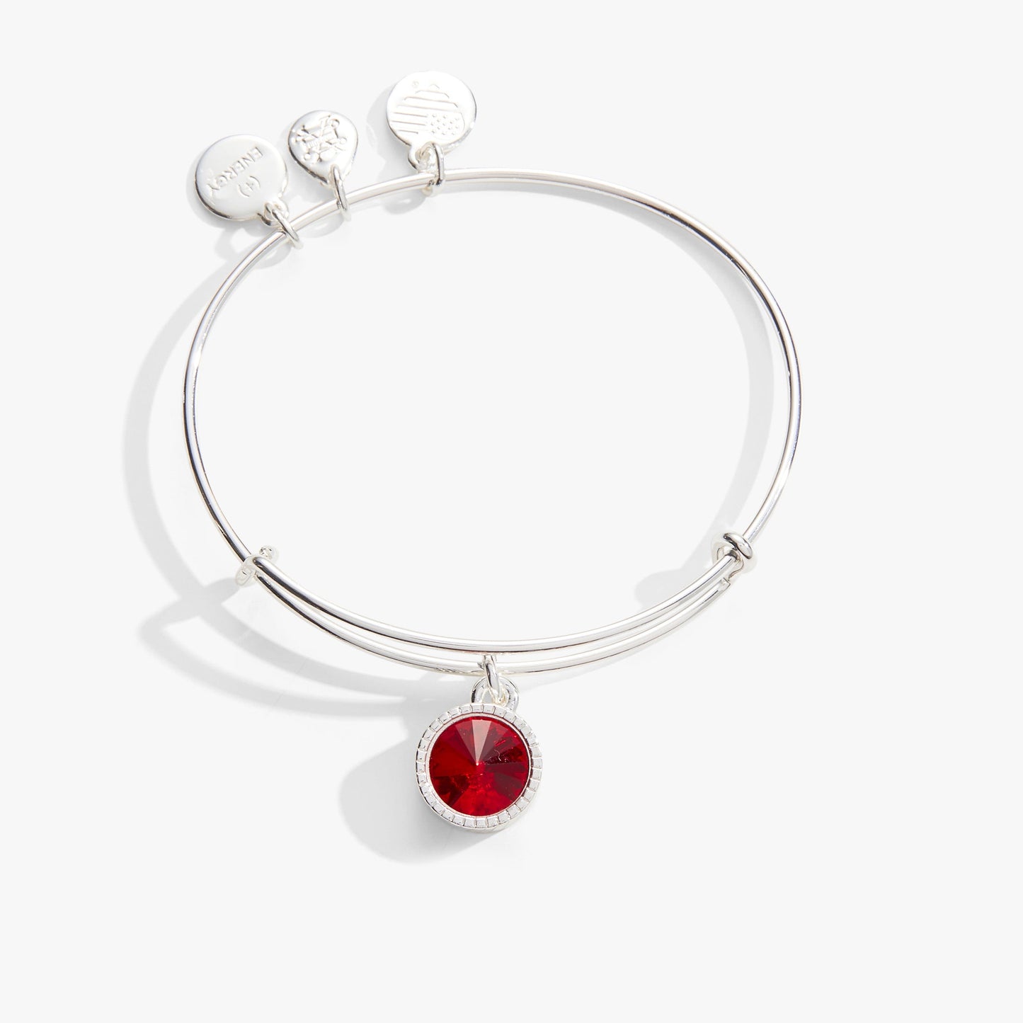 July Birthstone Charm Bangle, Ruby ALEX AND ANI