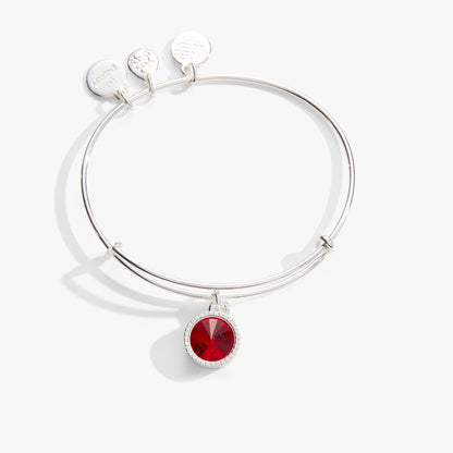 July Birthstone Charm Bangle, Ruby ALEX AND ANI