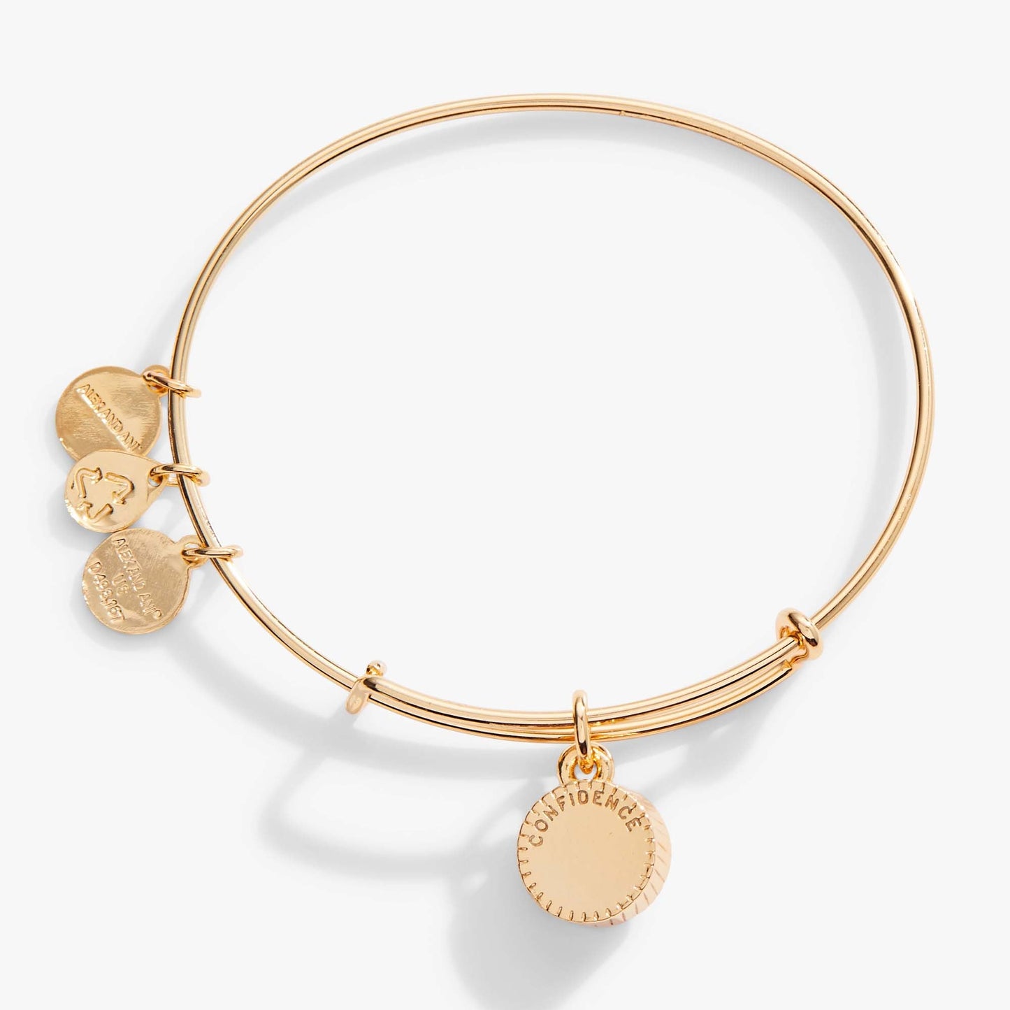 June Birthstone Charm Bangle, Light Amethyst ALEX AND ANI
