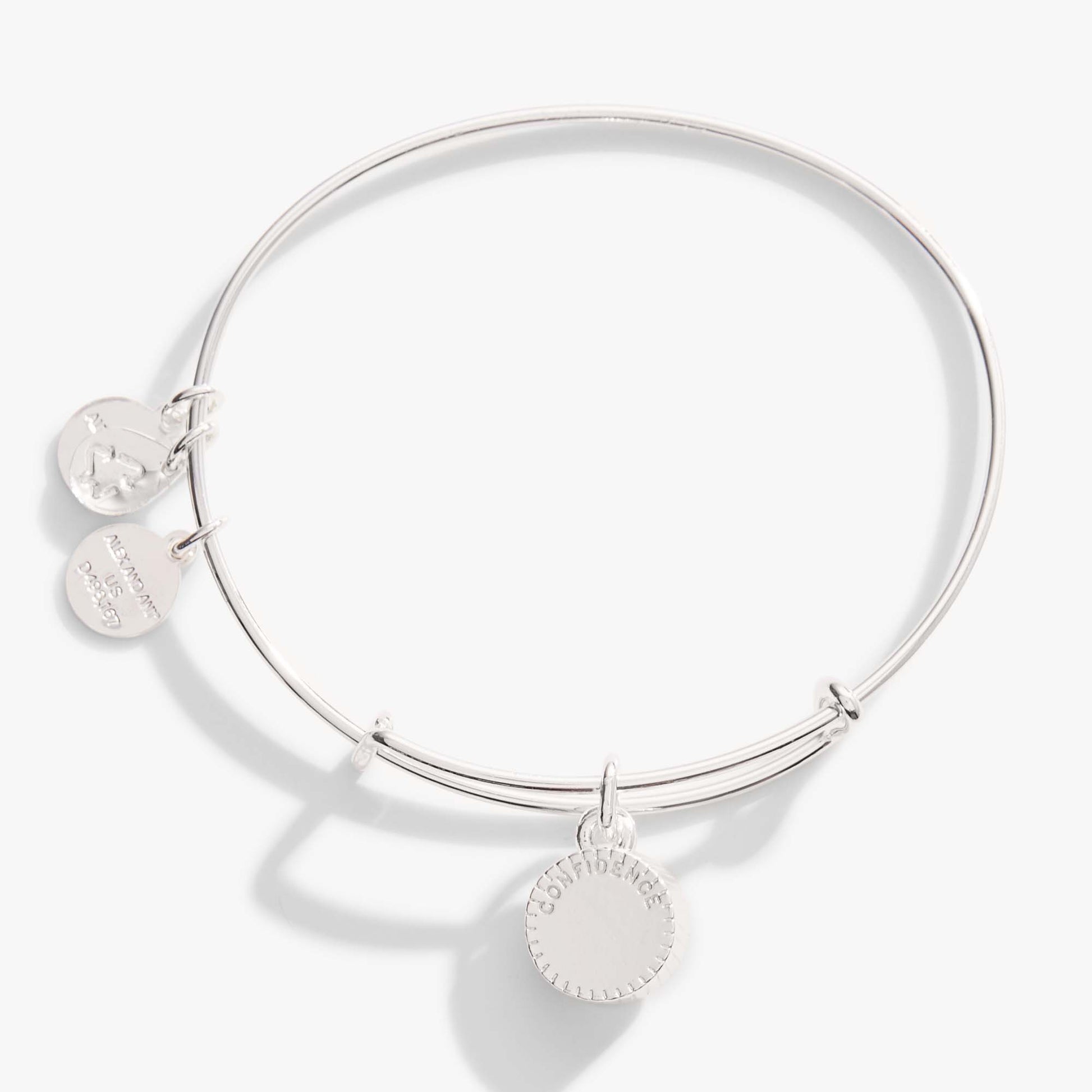 June Birthstone Charm Bangle, Light Amethyst ALEX AND ANI
