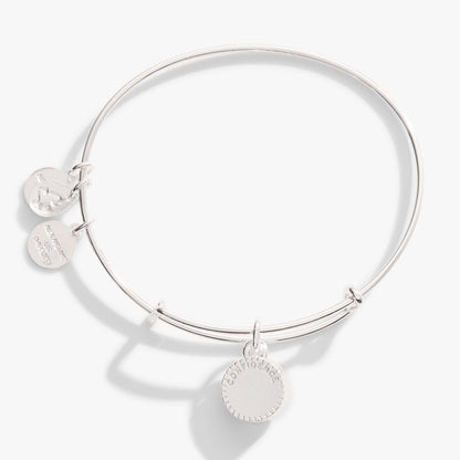 June Birthstone Charm Bangle, Light Amethyst ALEX AND ANI