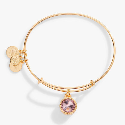 June Birthstone Charm Bangle, Light Amethyst ALEX AND ANI