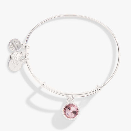 June Birthstone Charm Bangle, Light Amethyst ALEX AND ANI