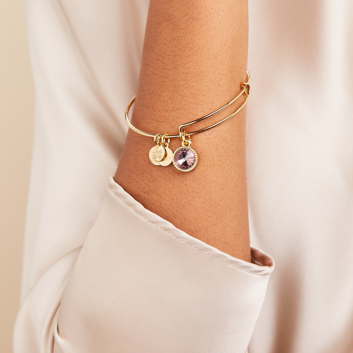 June Birthstone Charm Bangle, Light Amethyst ALEX AND ANI
