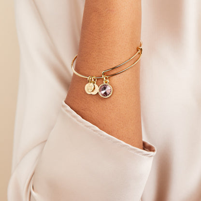 June Birthstone Charm Bangle, Light Amethyst ALEX AND ANI