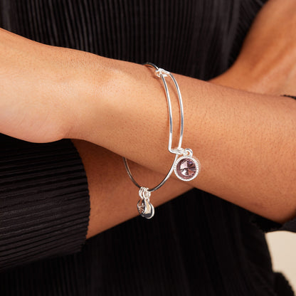 June Birthstone Charm Bangle, Light Amethyst ALEX AND ANI