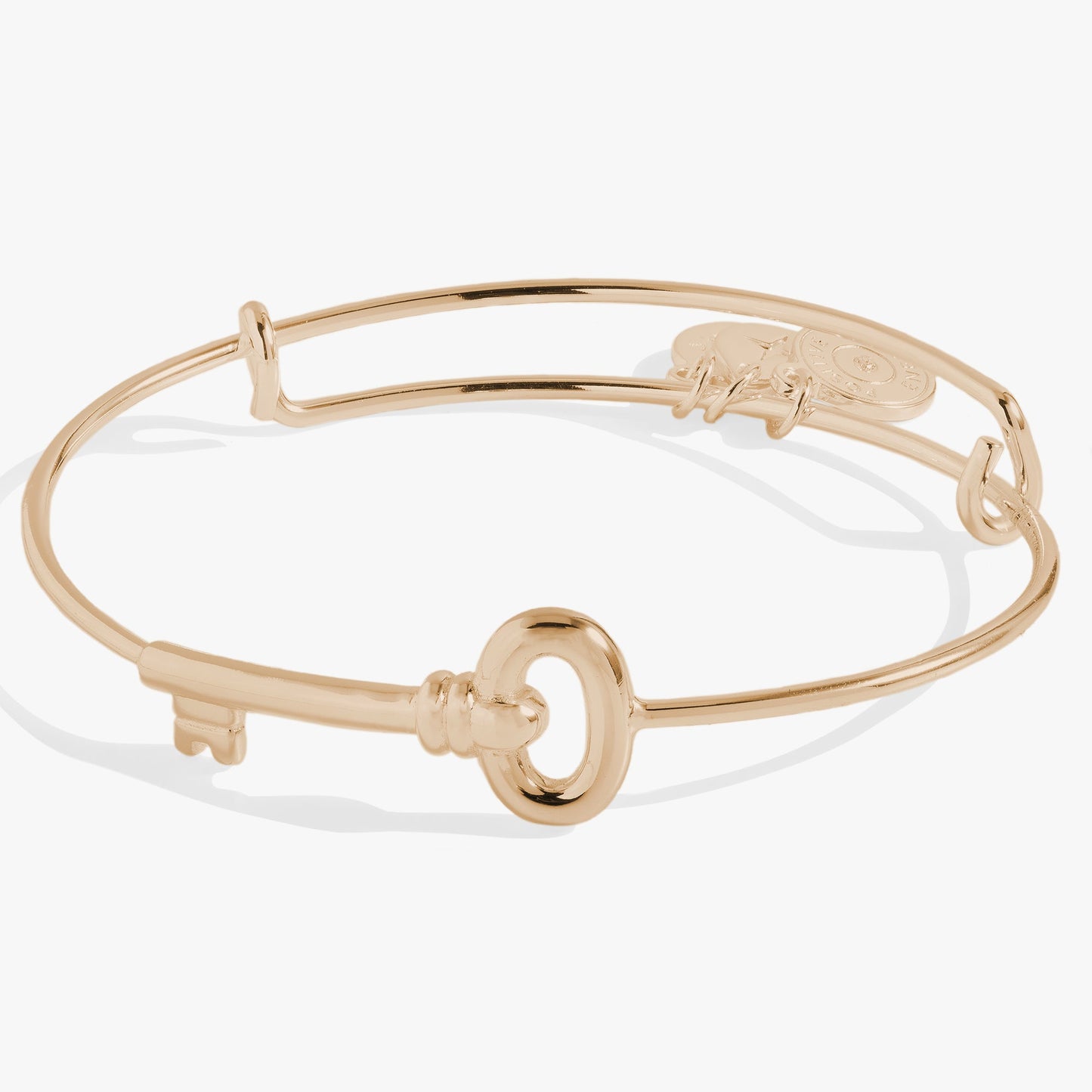 Key Inline Bangle ALEX AND ANI