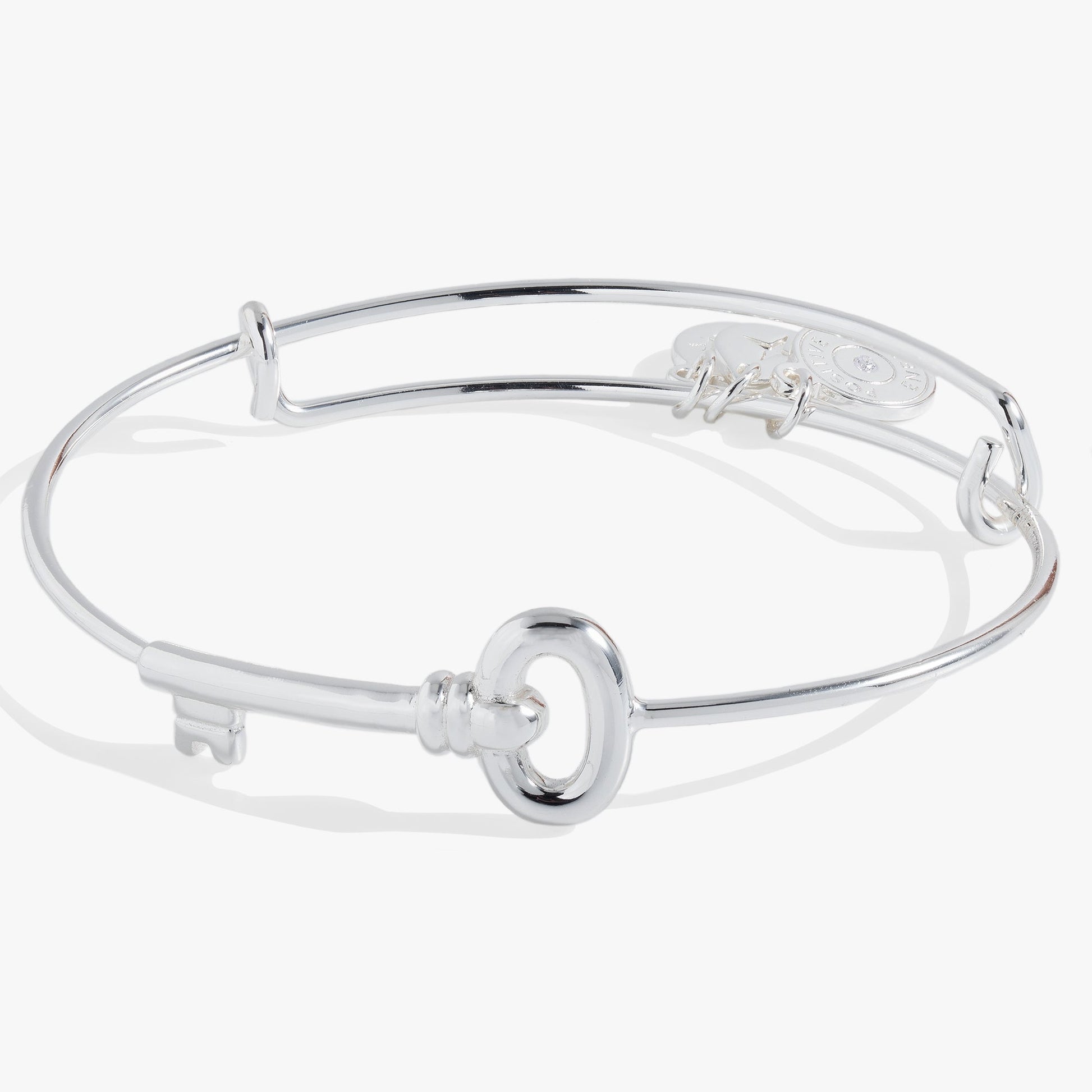 Key Inline Bangle ALEX AND ANI