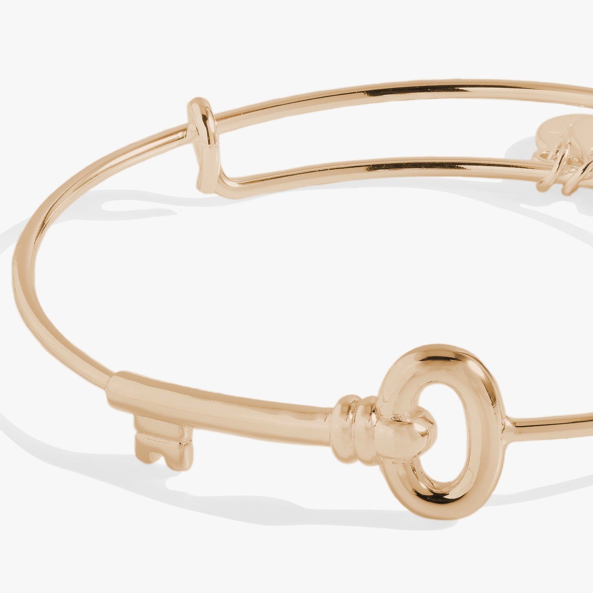 Key Inline Bangle ALEX AND ANI