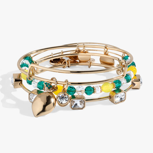 Lemon Charm Bangle Set of 3 ALEX AND ANI