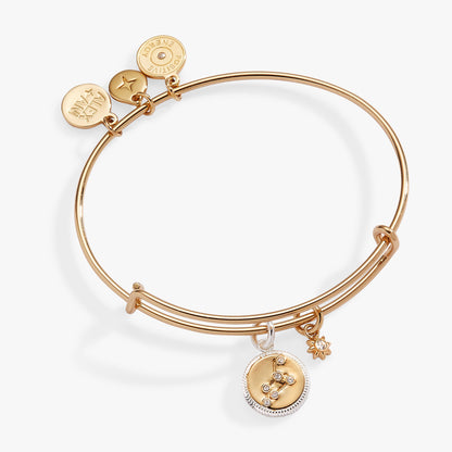 Leo Zodiac Charm Bangle ALEX AND ANI