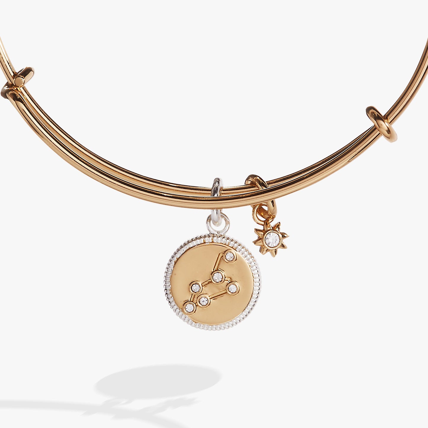 Leo Zodiac Charm Bangle ALEX AND ANI