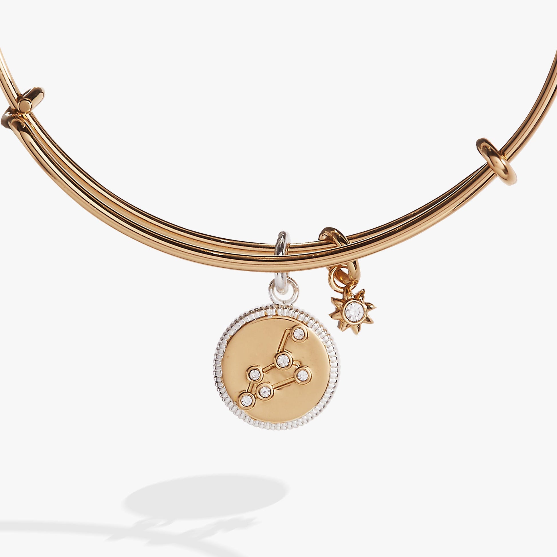 Leo Zodiac Charm Bangle ALEX AND ANI