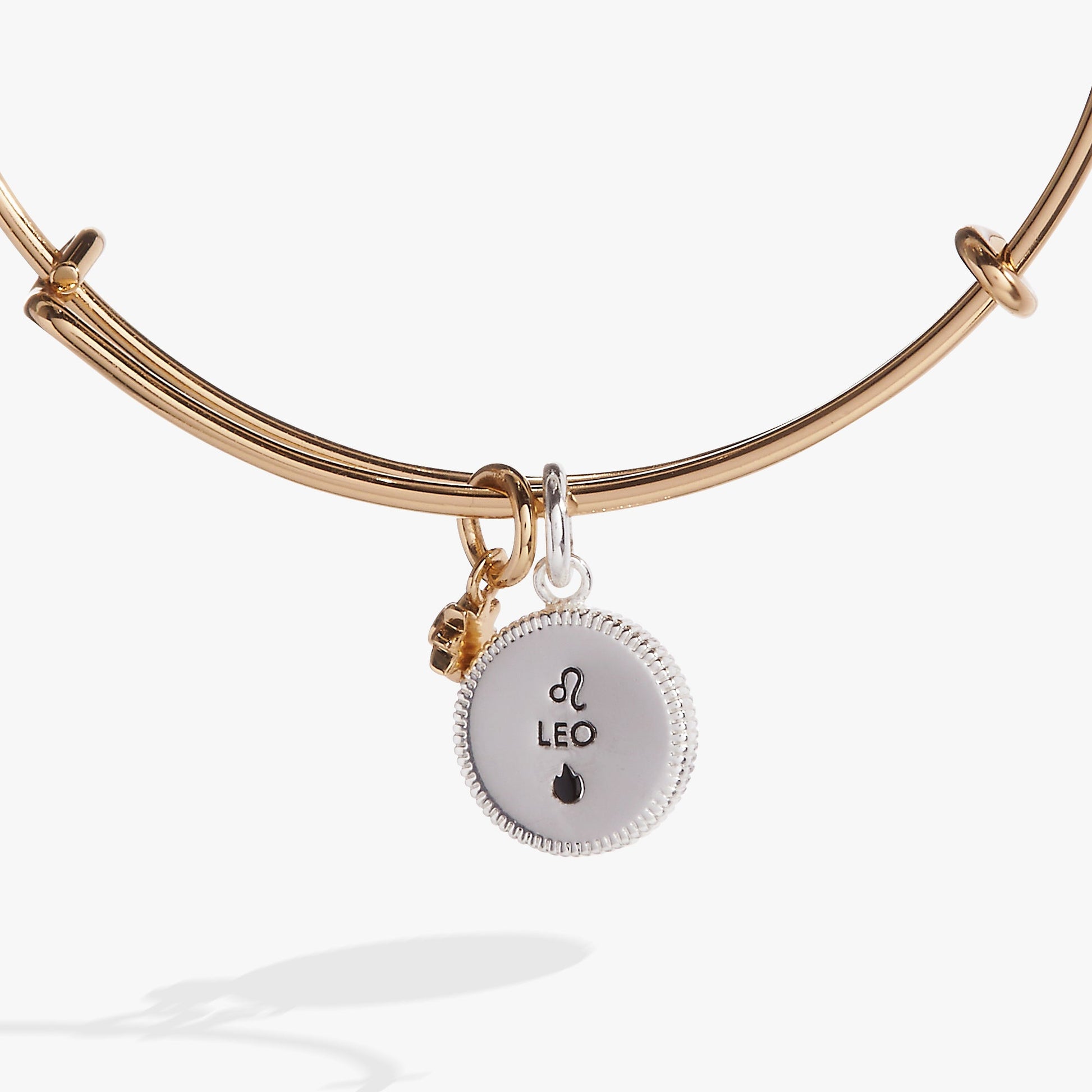Leo Zodiac Charm Bangle ALEX AND ANI