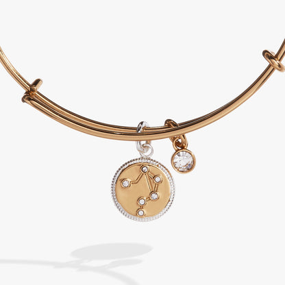Libra Zodiac Charm Bangle ALEX AND ANI