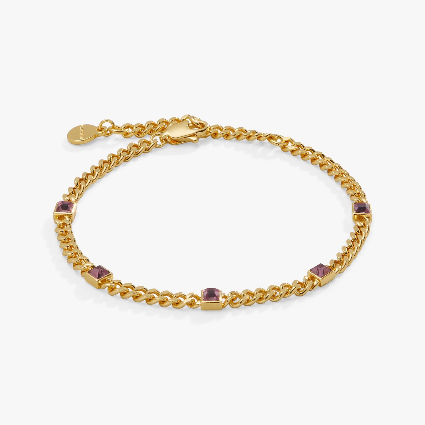 June Birthstone Light Amethyst Curb Chain Bracelet ALEX AND ANI