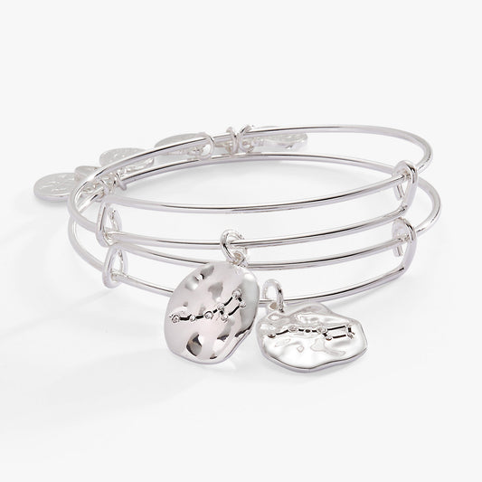Little Dipper BFF Bangle Set of 2 ALEX AND ANI